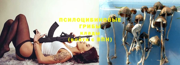 бошки Верея