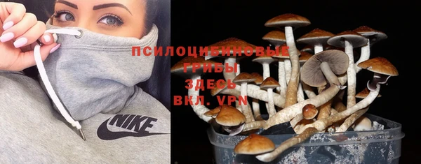 первитин Верхний Тагил