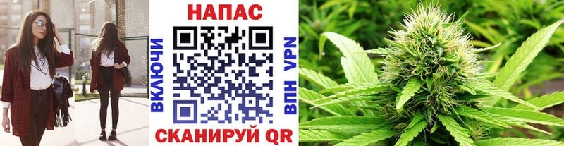 где купить   Горячеводский  Каннабис планчик 